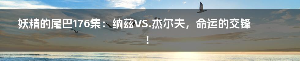 妖精的尾巴176集:纳兹VS.杰尔夫,命运的交锋!