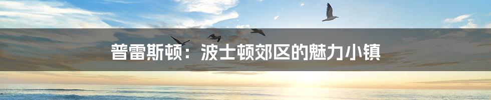 普雷斯顿:波士顿郊区的魅力小镇