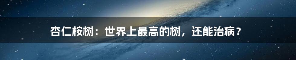 杏仁桉树:世界上最高的树,还能治病?