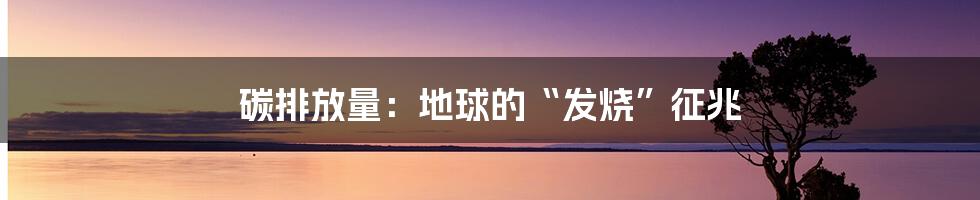 碳排放量:地球的“发烧”征兆