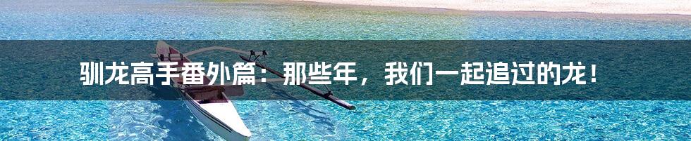 驯龙高手番外篇:那些年,我们一起追过的龙!