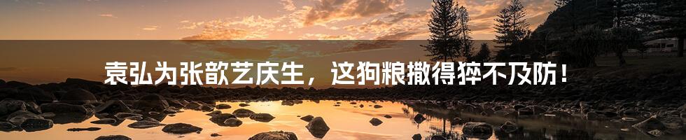 袁弘为张歆艺庆生,这狗粮撒得猝不及防!