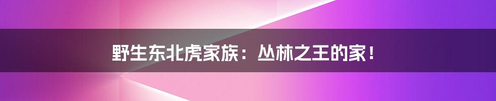 野生东北虎家族：丛林之王的家！