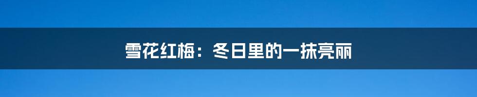雪花红梅:冬日里的一抹亮丽