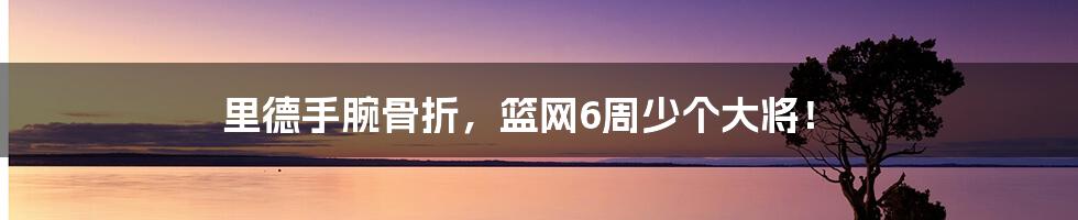 里德手腕骨折,篮网6周少个大将!