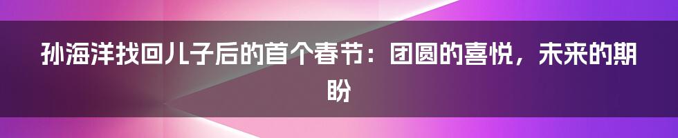 孙海洋找回儿子后的首个春节:团圆的喜悦,未来的期盼