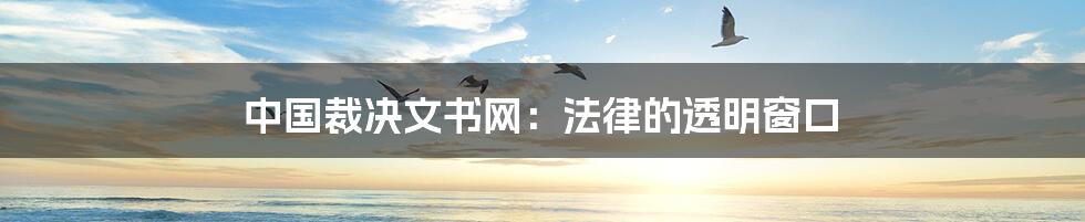 中国裁决文书网:法律的透明窗口
