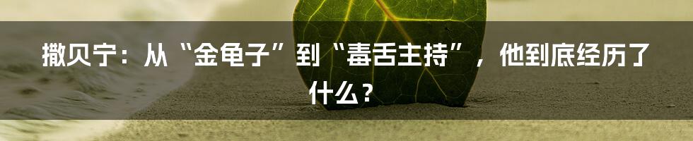 撒贝宁:从“金龟子”到“毒舌主持”,他到底经历了什么?