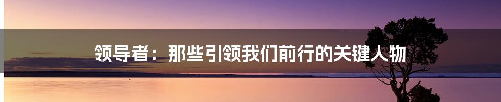 领导者:那些引领我们前行的关键人物