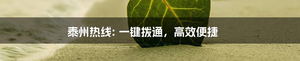 泰州热线: 一键拨通,高效便捷