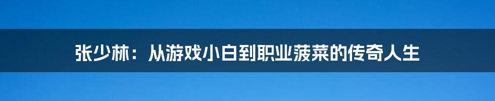张少林:从游戏小白到职业菠菜的传奇人生