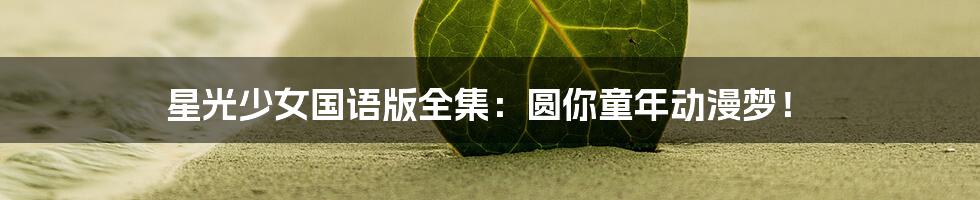 星光少女国语版全集:圆你童年动漫梦!