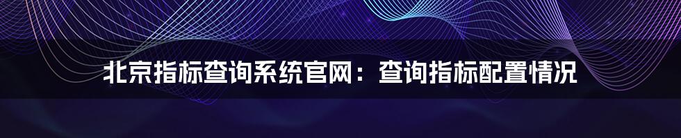 北京指标查询系统官网:查询指标配置情况