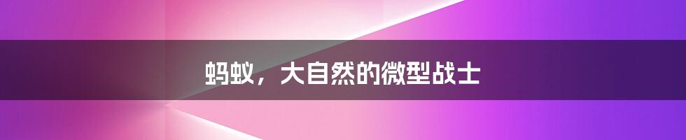 蚂蚁,大自然的微型战士
