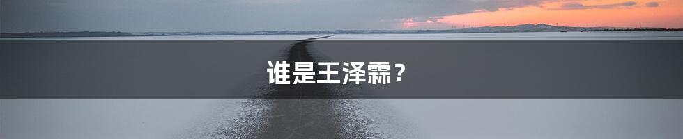 谁是王泽霖?
