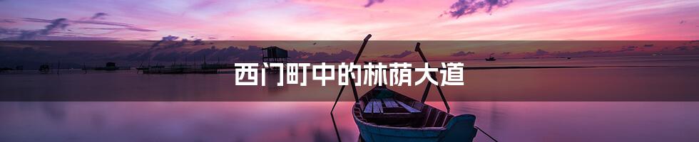 西门町中的林荫大道
