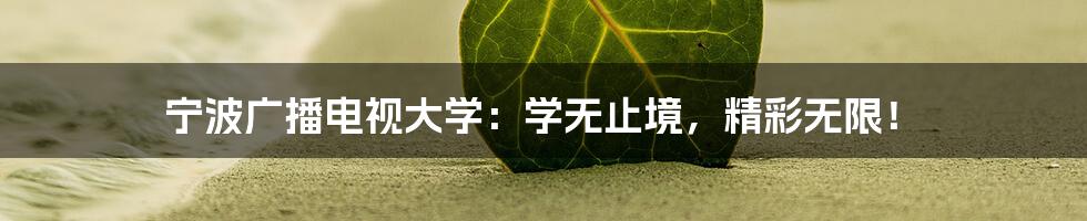 宁波广播电视大学:学无止境,精彩无限!