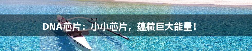 DNA芯片：小小芯片，蕴藏巨大能量！