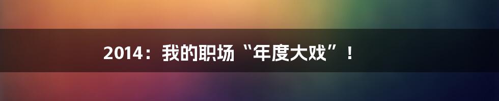 2014:我的职场“年度大戏”!