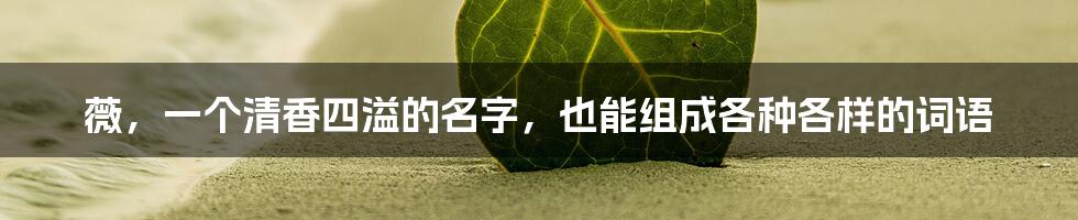 薇,一个清香四溢的名字,也能组成各种各样的词语