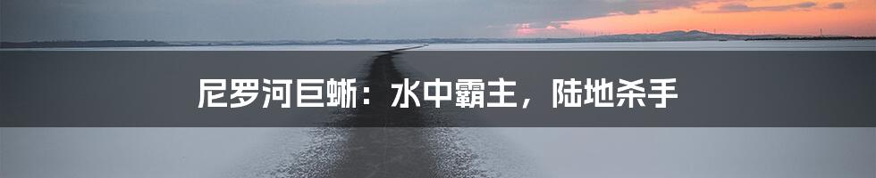 尼罗河巨蜥:水中霸主,陆地杀手