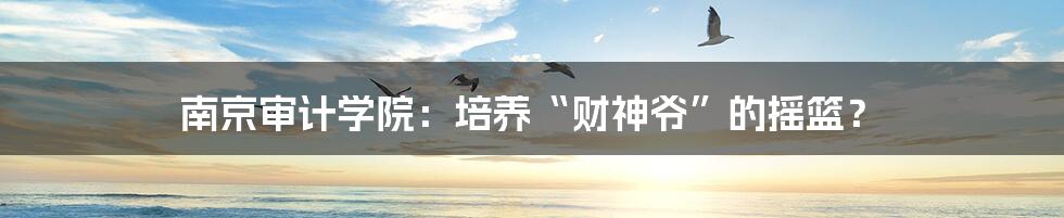 南京审计学院:培养“财神爷”的摇篮?