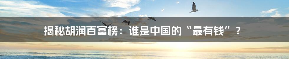揭秘胡润百富榜:谁是中国的“最有钱”?