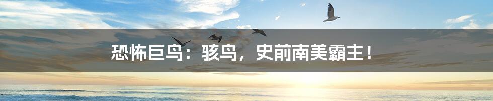 恐怖巨鸟:骇鸟,史前南美霸主!