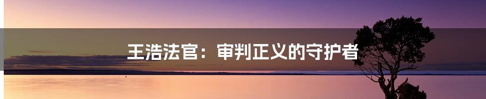 王浩法官:审判正义的守护者