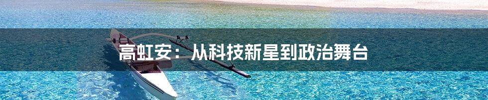 高虹安:从科技新星到政治舞台