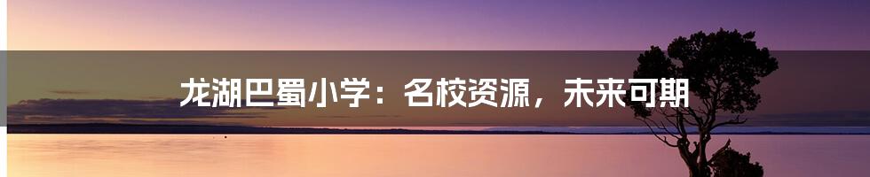龙湖巴蜀小学:名校资源,未来可期