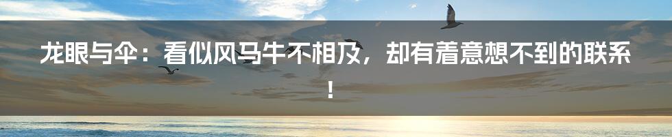 龙眼与伞:看似风马牛不相及,却有着意想不到的联系!