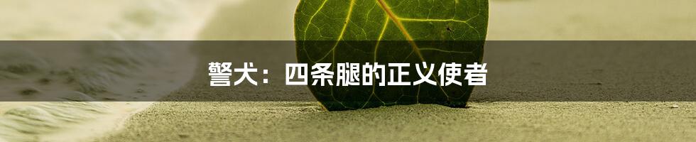 警犬:四条腿的正义使者