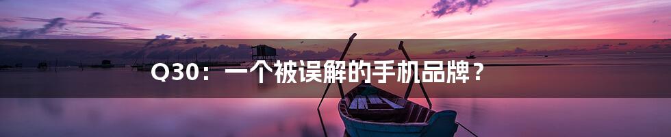 Q30:一个被误解的手机品牌?