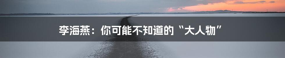李海燕:你可能不知道的“大人物”