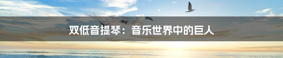 双低音提琴:音乐世界中的巨人