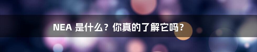 NEA 是什么？你真的了解它吗？
