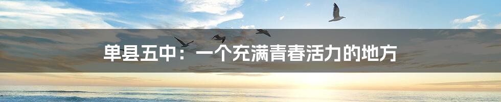 单县五中:一个充满青春活力的地方