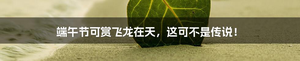 端午节可赏飞龙在天,这可不是传说!