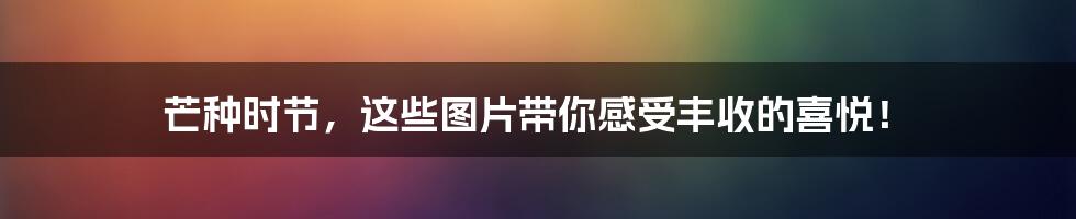 芒种时节,这些图片带你感受丰收的喜悦!
