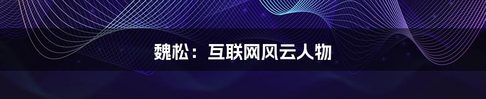 魏松:互联网风云人物