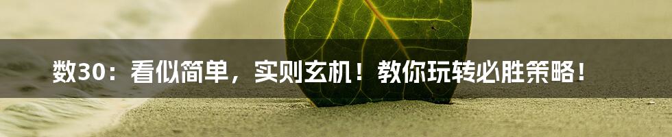 数30:看似简单,实则玄机!教你玩转必胜策略!