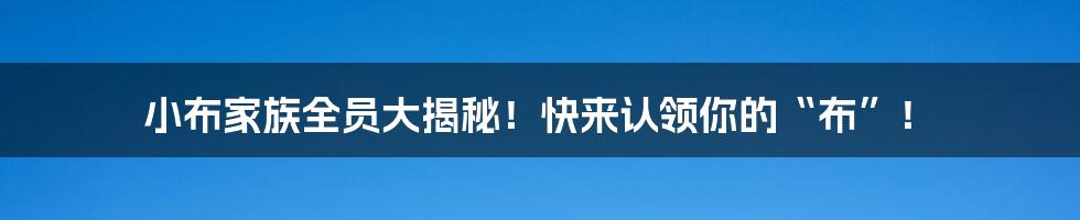 小布家族全员大揭秘!快来认领你的“布”!