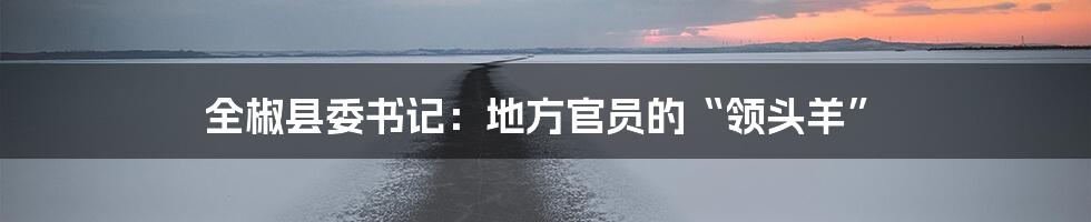 全椒县委书记:地方官员的“领头羊”