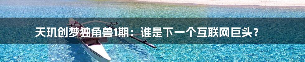 天玑创梦独角兽1期:谁是下一个互联网巨头?