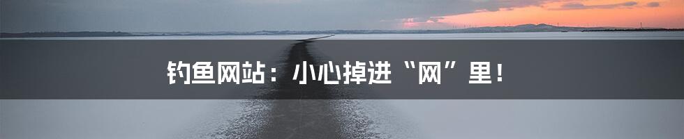 钓鱼网站:小心掉进“网”里!