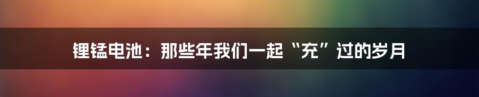 锂锰电池:那些年我们一起“充”过的岁月