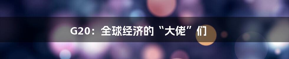 G20:全球经济的“大佬”们
