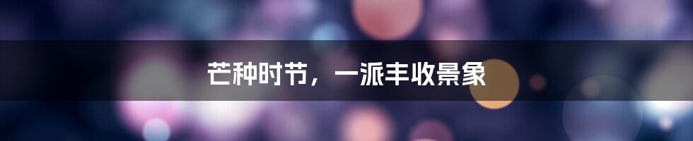 芒种时节，一派丰收景象