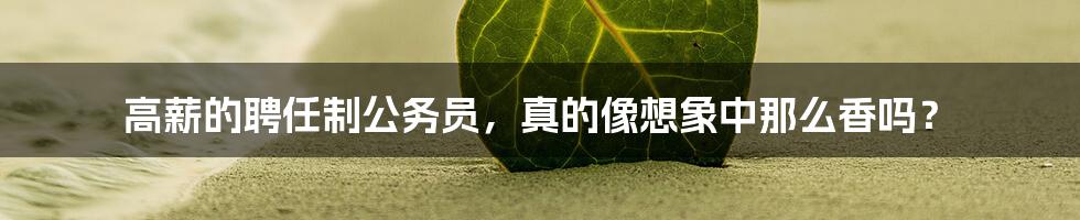 高薪的聘任制公务员,真的像想象中那么香吗?